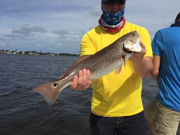 Bait is thick along with the fishing 