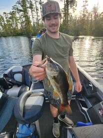 Kitty Hawk Report Photo 1