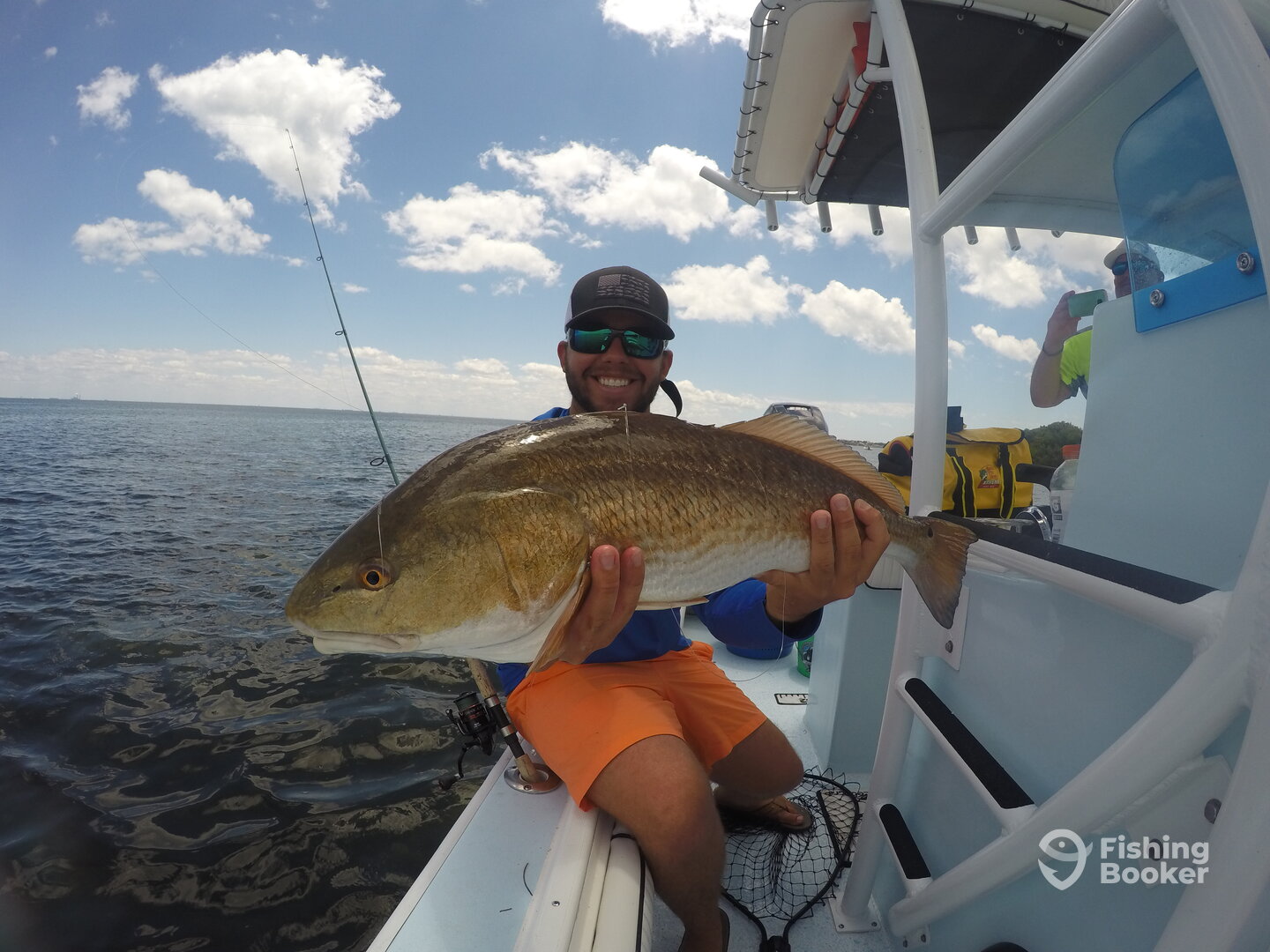 Sarasota Report Photo 0