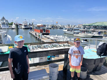 Wildwood Report Photo 2