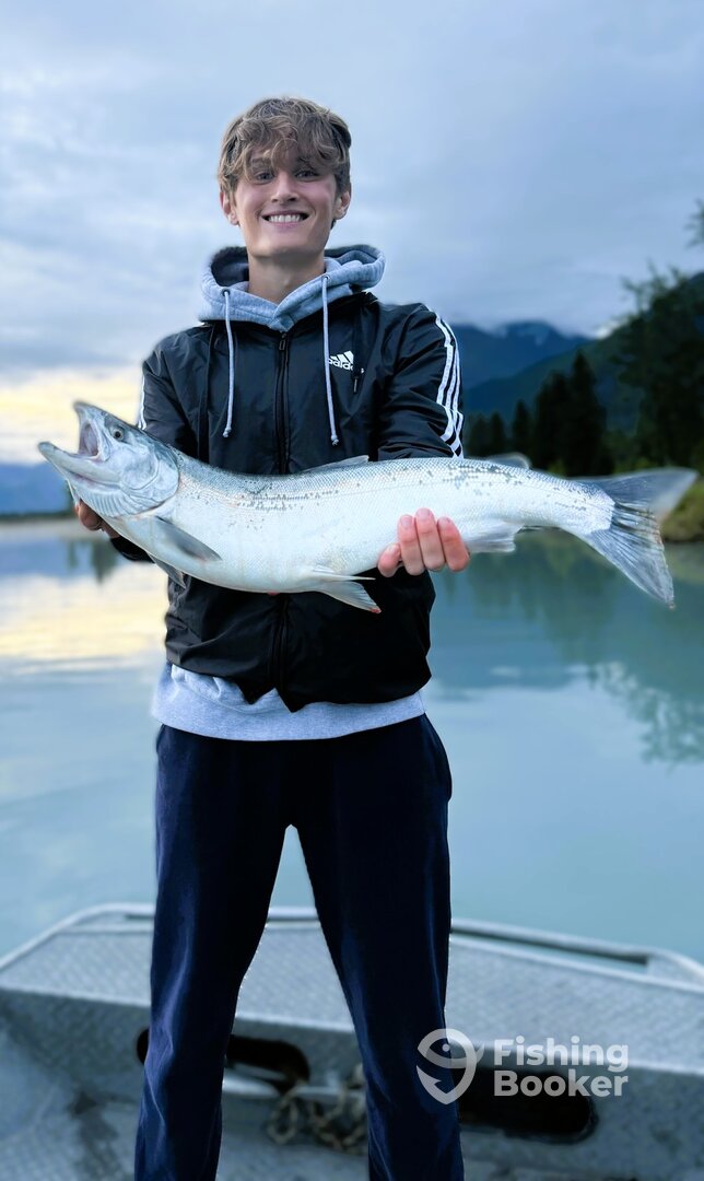 Palmer Report Photo 0