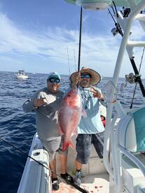 Port Canaveral Report Photo 1