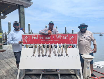 Midwest Travelers Found the Trout!