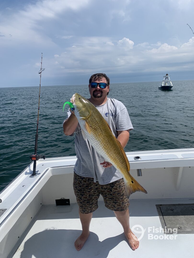 Virginia Beach Report Photo 0