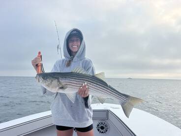 Dennis Report Photo 1