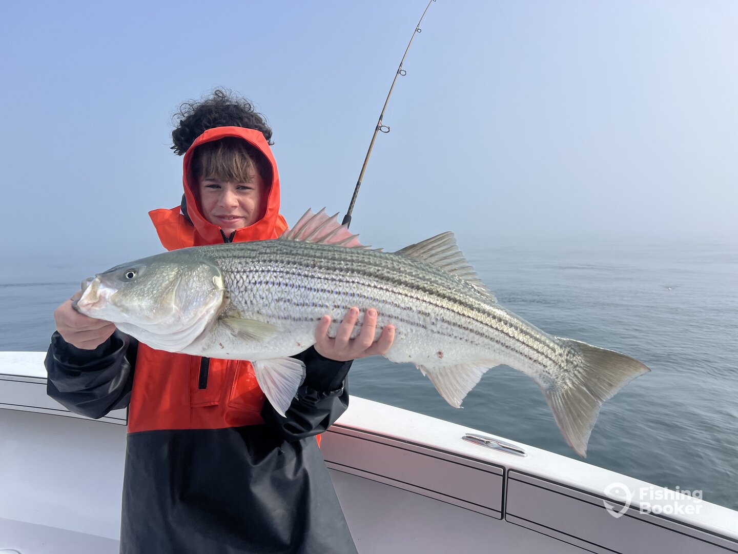 Dennis Report Photo 0