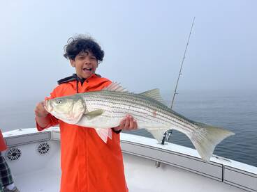 Dennis Report Photo 1