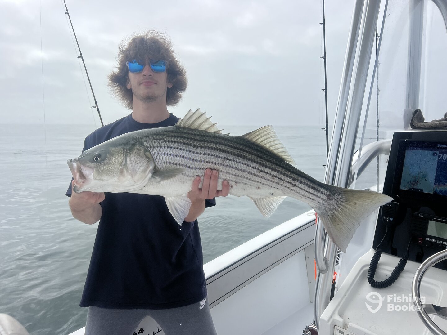 Dennis Report Photo 0