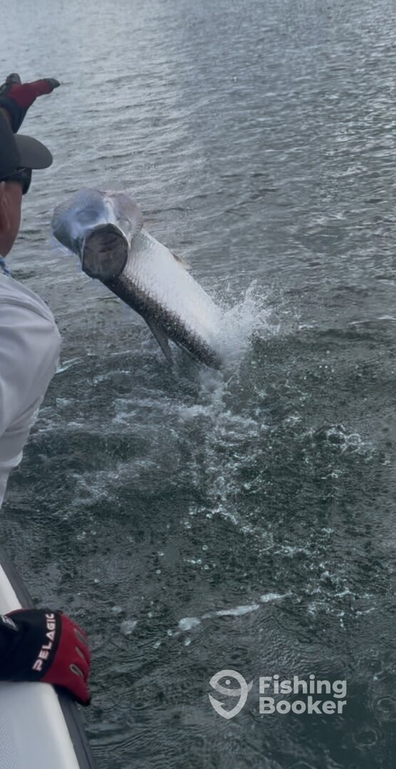 San Juan Report Photo 0