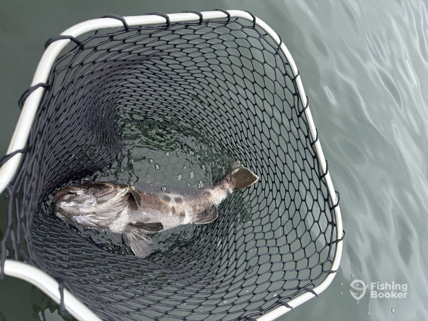 San Diego Report Photo 0