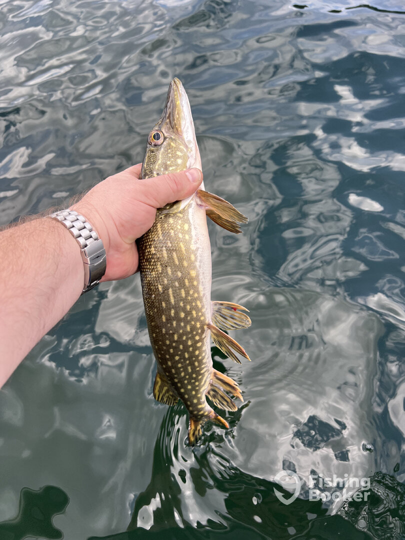 Traverse City Report Photo 0