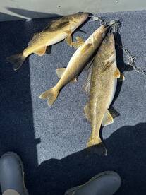 Traverse City Report Photo 2