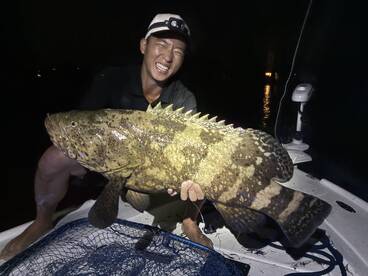 Goliath Grouper ate a live Mullet