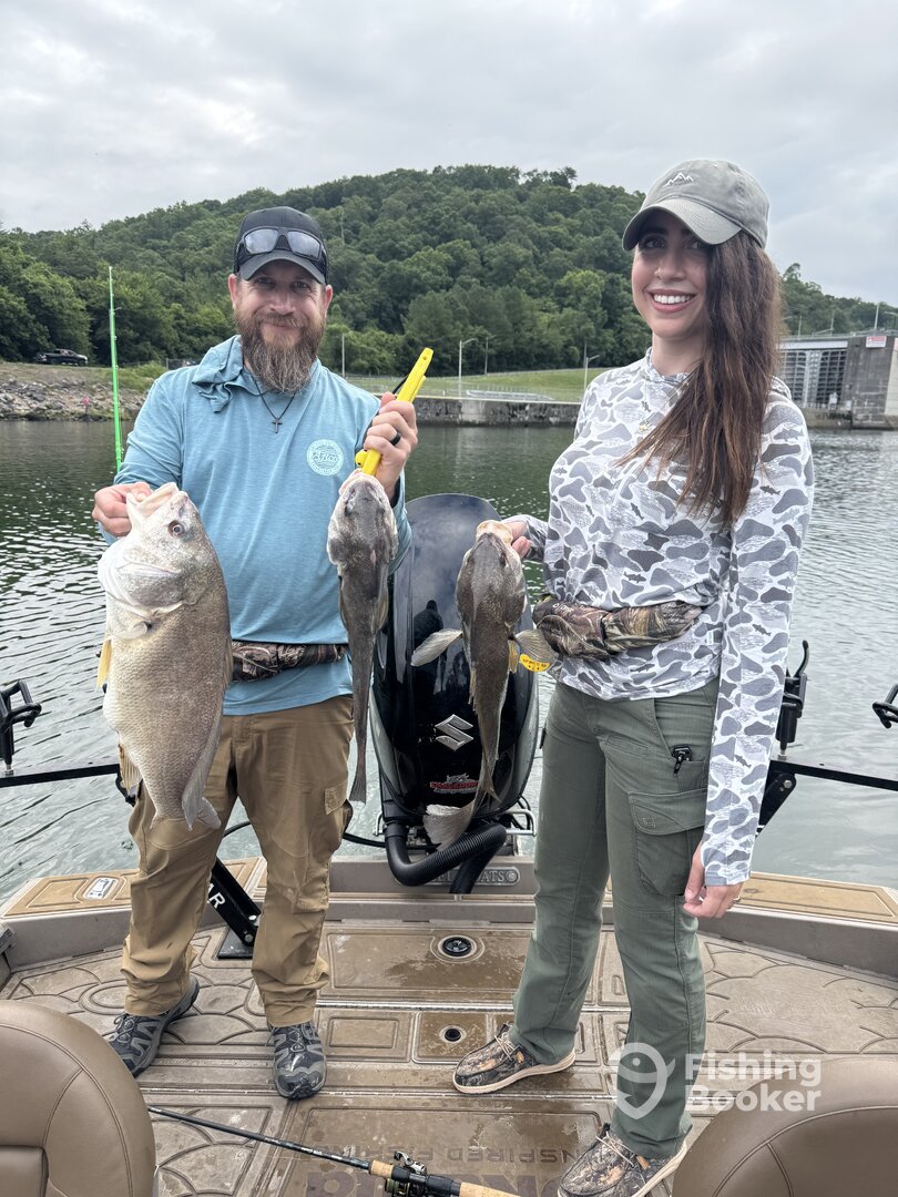 Lenoir City Report Photo 0