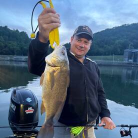 Freshwater Drum Bring Non-Stop Action!