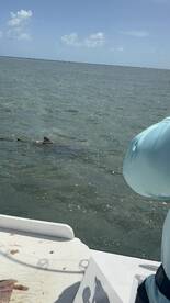 Key West Report Photo 2