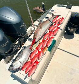 New Smyrna Beach Report Photo 1