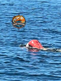 Steinhatchee Report Photo 1