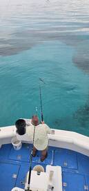 Islamorada Report Photo 1