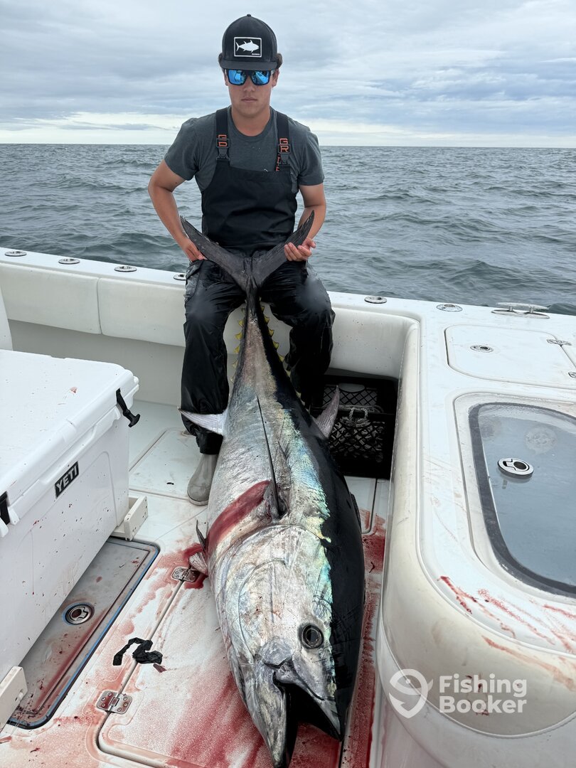 Chatham Report Photo 0