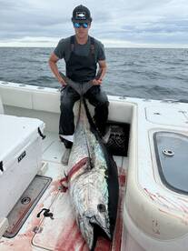 IT’S  BLUEFIN TIME IN CHATHAM!!!