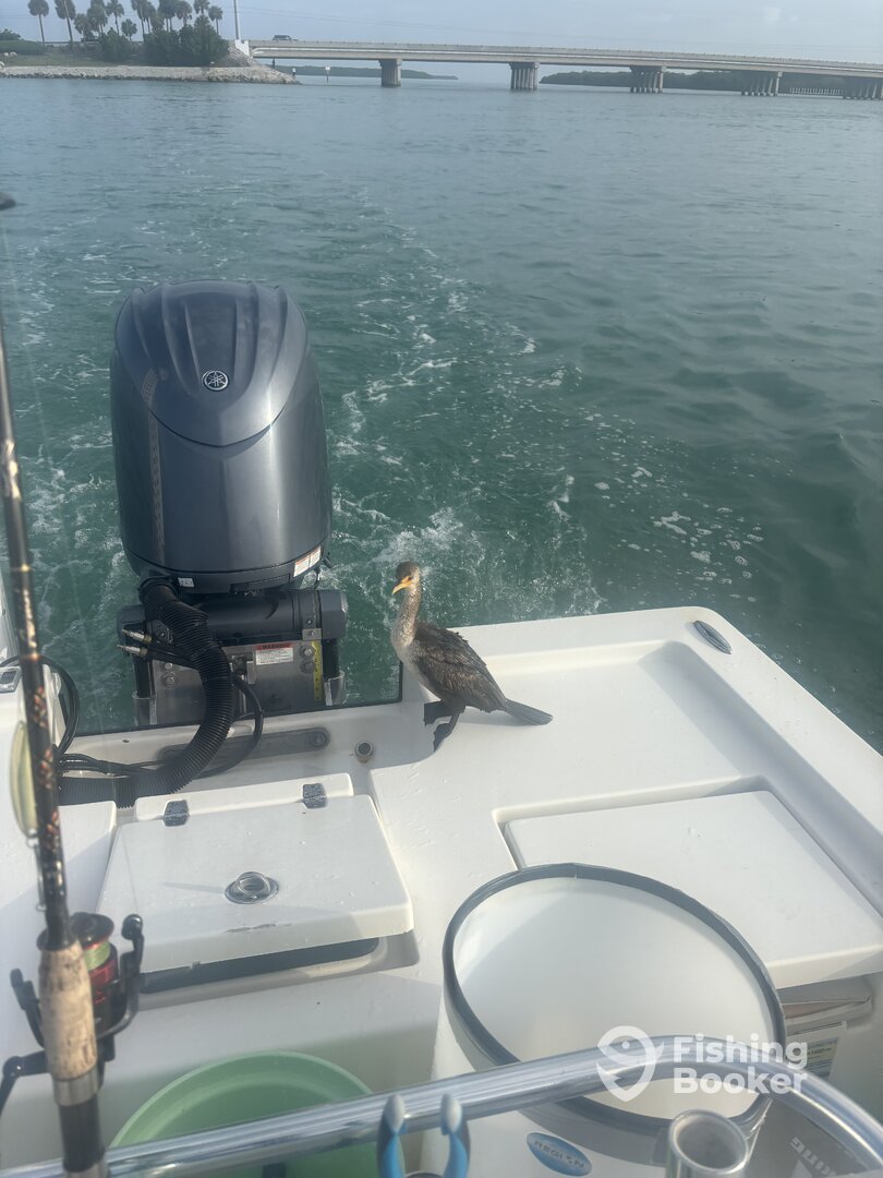 Islamorada Report Photo 0