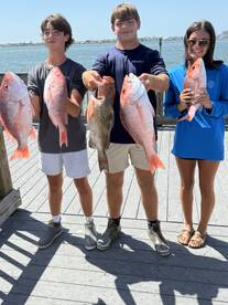 Red Snapper bite is on!