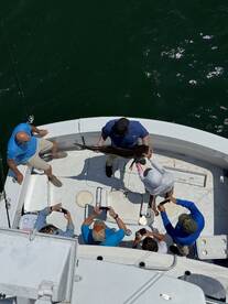 Cape Charles Report Photo 1