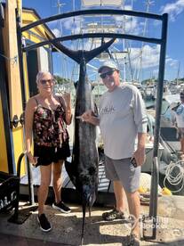 Blue Marlin Success: Expert Crew Makes C