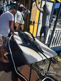 Honolulu Report Photo 2