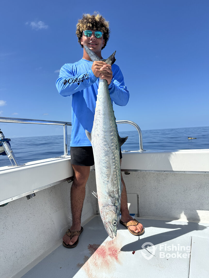 Naples Report Photo 0