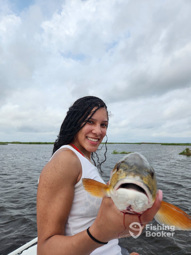 St. Bernard Report Photo 0