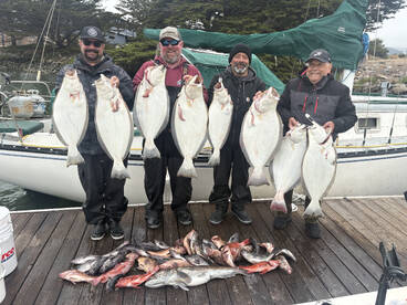 Limits of Halibut and Rockfish!