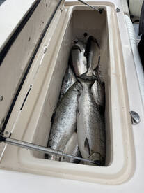 Grand Haven Report Photo 2