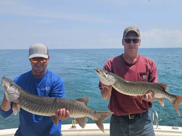 St. Clair Shores Report Photo 1