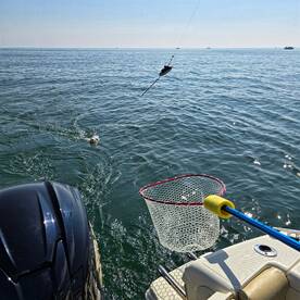 Lakeside Marblehead Report Photo 1