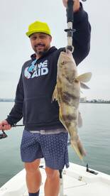 San Diego Report Photo 2