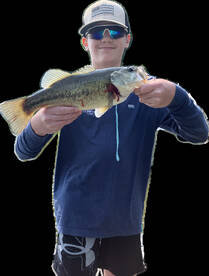 Hilton Report Photo 2