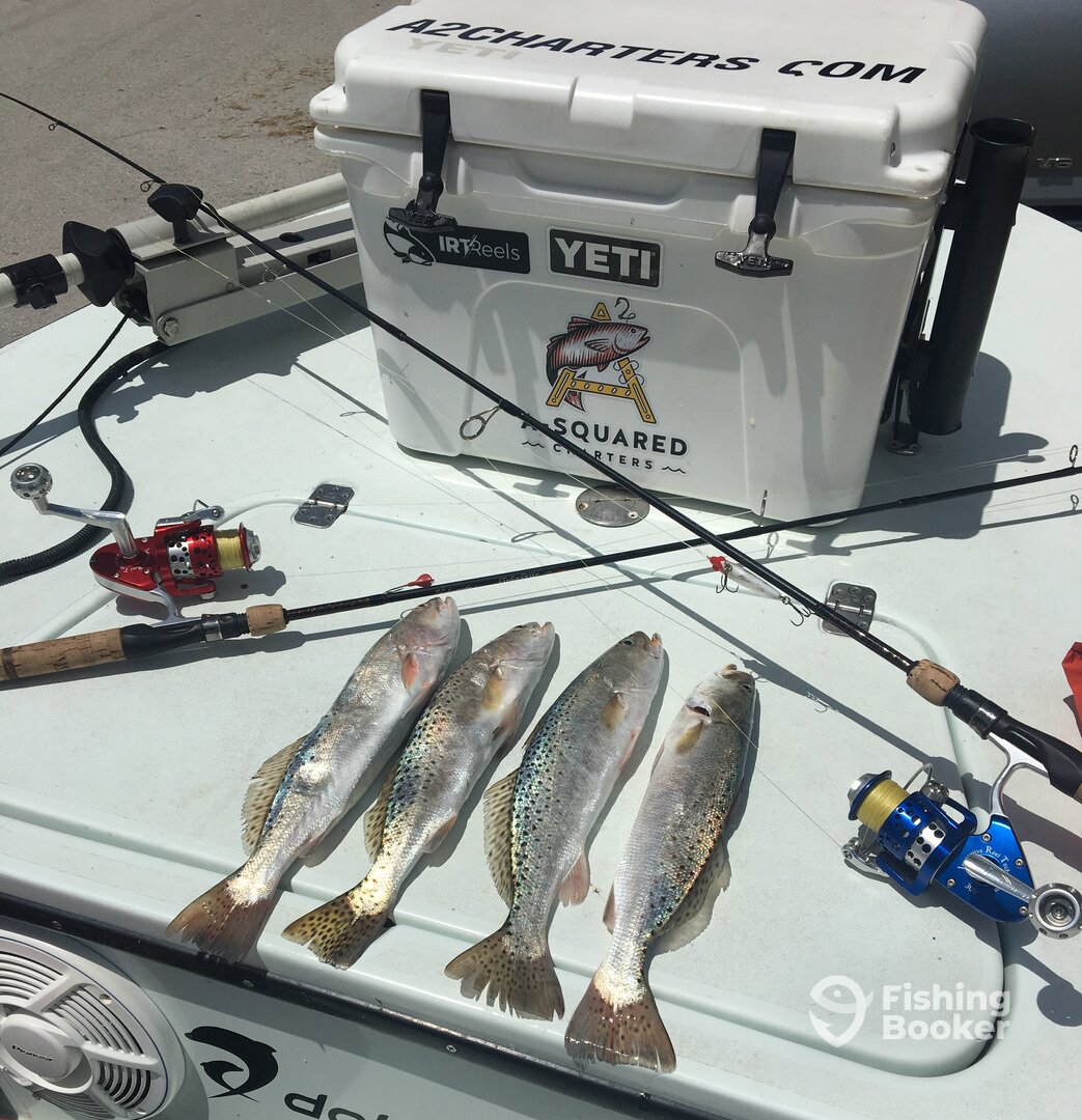 Everglades City Report Photo 0