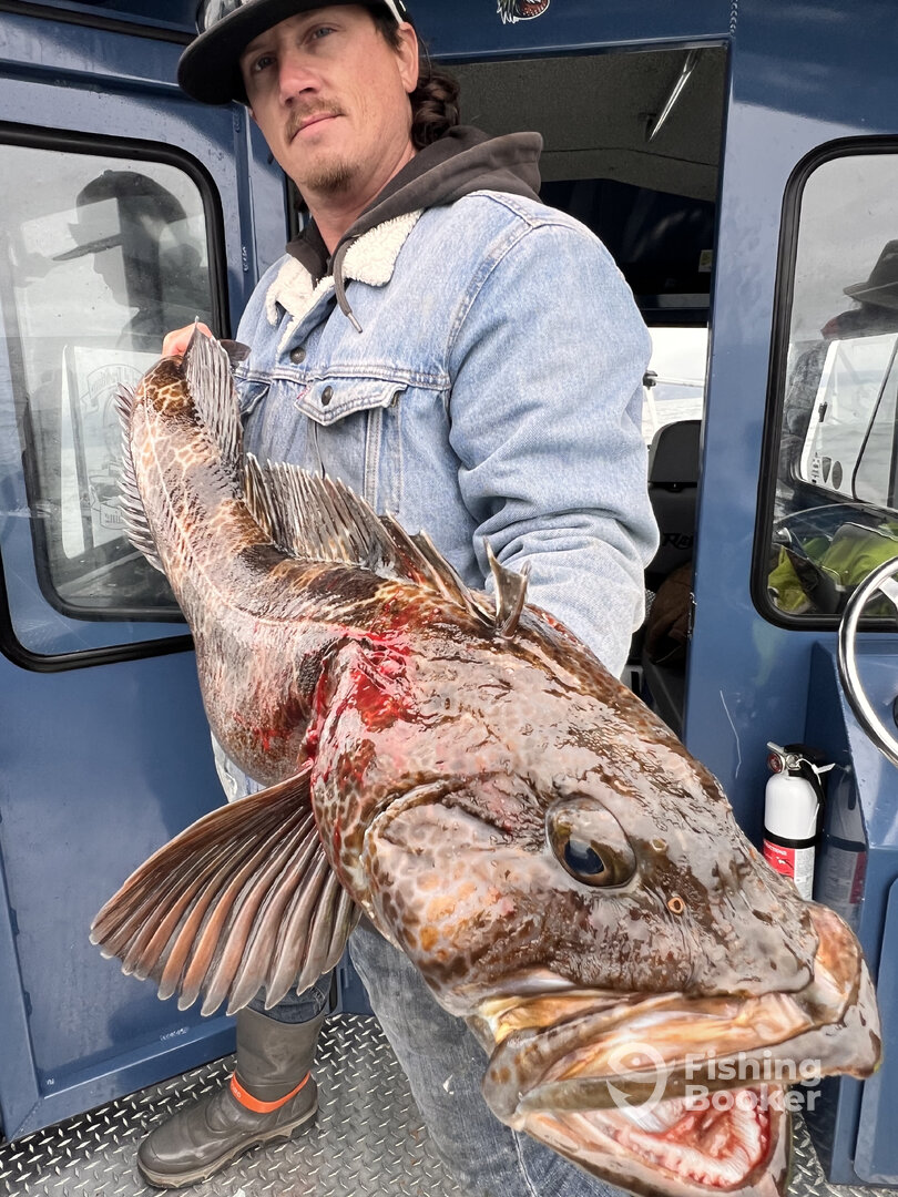 Richmond Report Photo 0