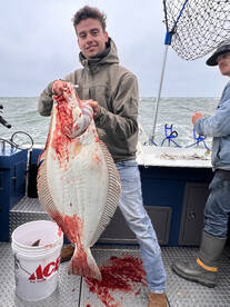 California Halibut