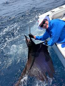 Amazing 3/4 Day on the Amberjack boat!