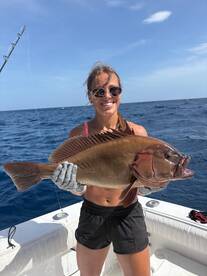 Playa Flamingo Report Photo 1