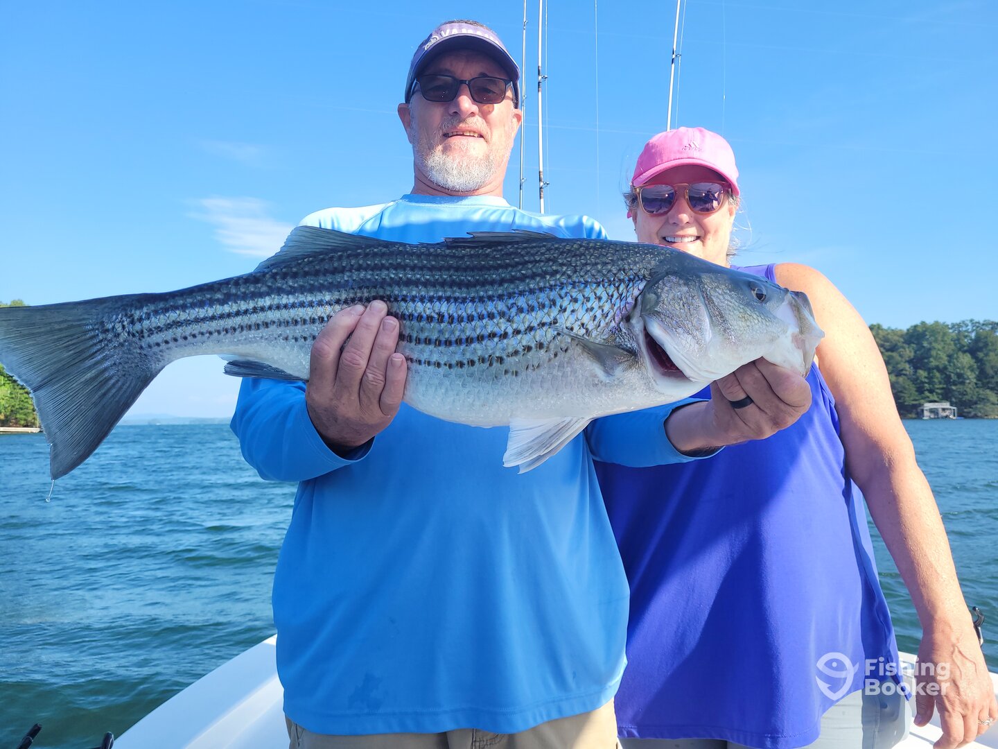 Gainesville Report Photo 0