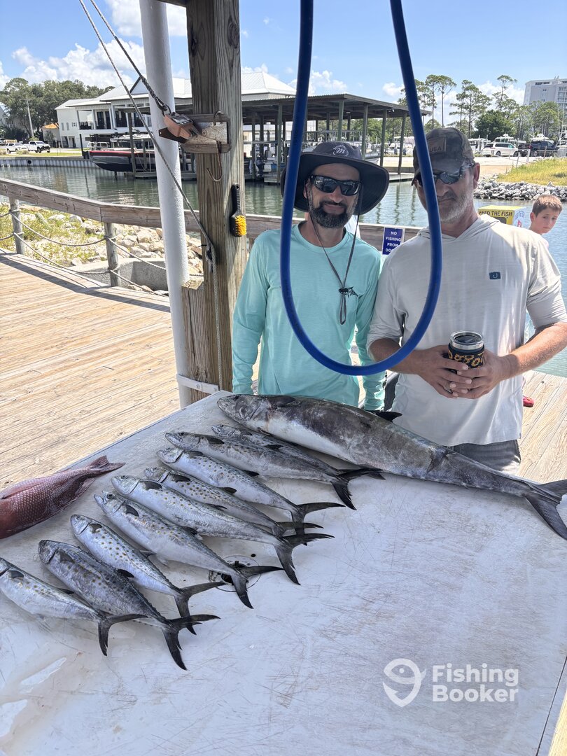 Orange Beach Report Photo 0