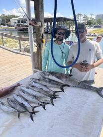 Mackeral are here and hungry!