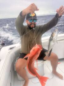 Playa Flamingo Report Photo 1