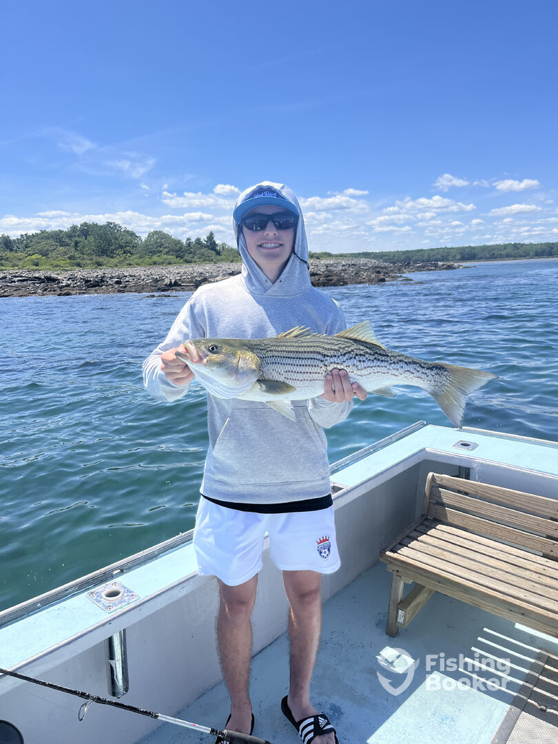 Kittery Report Photo 0