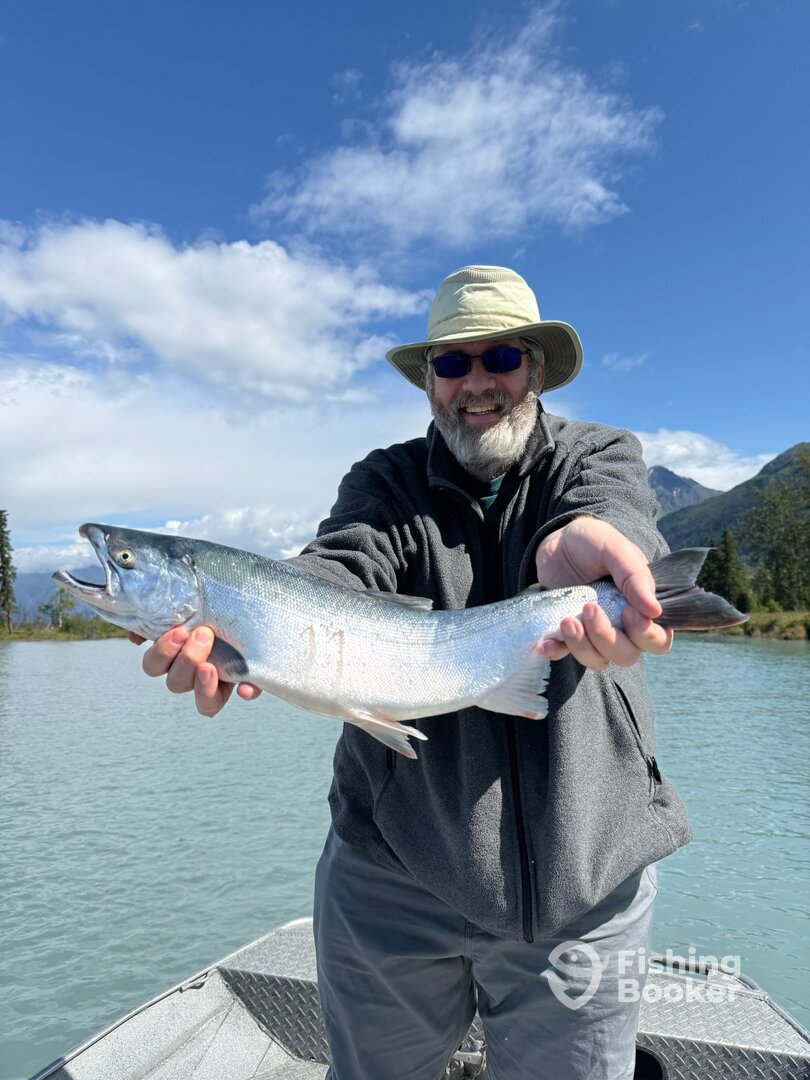 Wasilla Report Photo 0