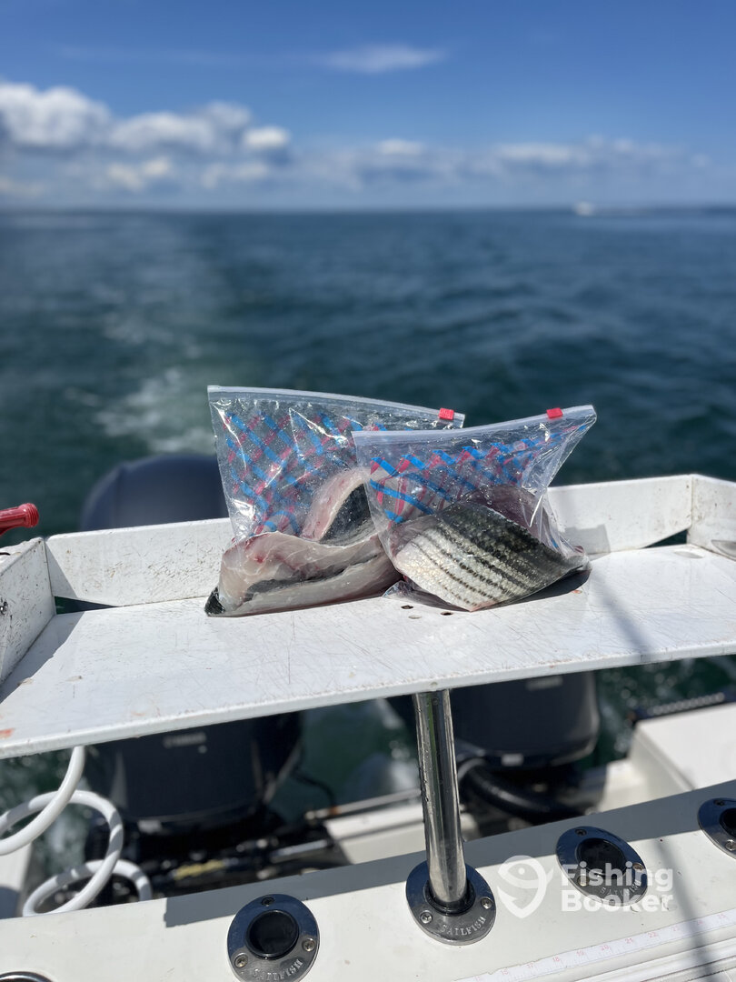 Dennis Report Photo 0